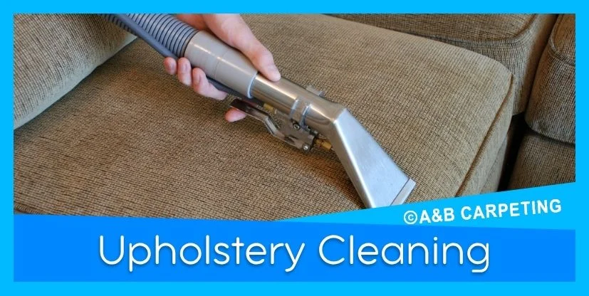 Professional Upholstery Cleaning